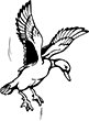 canard-3
