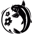 carpe-koi