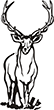 cerf-1