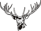 cerf-3