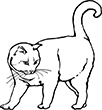 chat-1