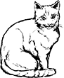 chat-2