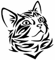 chat-tribal-2
