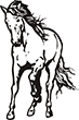 cheval-02
