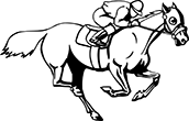 cheval-05