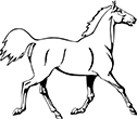 cheval-06
