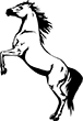 cheval-09