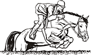 cheval-12