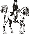 cheval-13