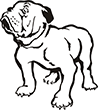 chien-01