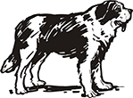 chien-04