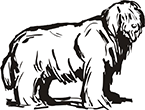 chien-06