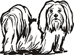 chien-07