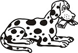 chien-12