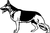 chien-13