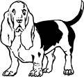 chien-14