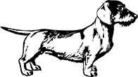 chien-15
