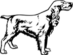 chien-19