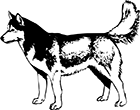 chien-21