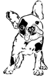 chien-22