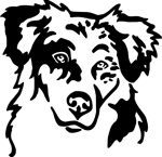 chien-berger-australien-2