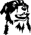 chien-berger-australien