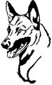 chien-berger-malinois