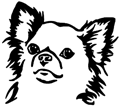 chien-chihuahua