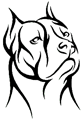 chien-pitbulll