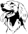 chien-setter