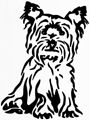 chien-yorkshire