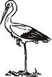 cigogne-1
