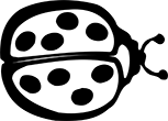 coccinelle-1