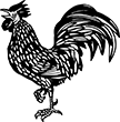 coq-2