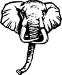 elephant-01