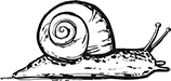 escargot-01