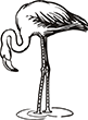 flament-rose