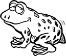 grenouille-03