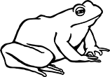 grenouille-04