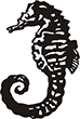 hippocampe