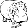 hippopotame-02