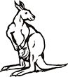 kangourou