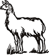lama
