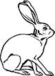 lapin-03