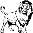lion-03
