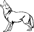 loup-02