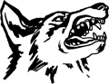 loup-ani_162