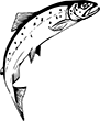 poisson-02