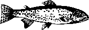poisson-03