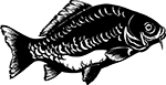 poisson-05